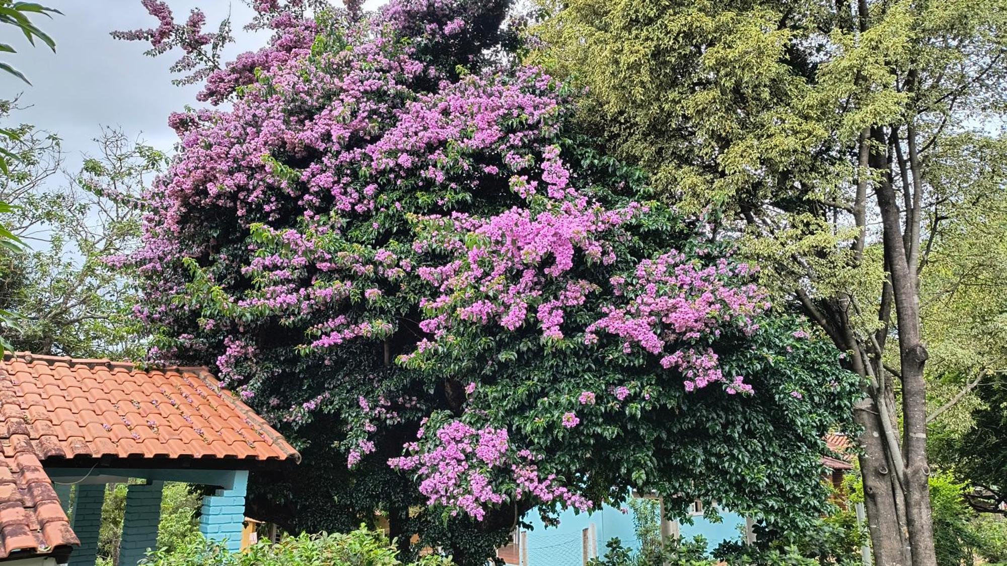 Recanto Do Sossego Inn Sao Tome das Letras